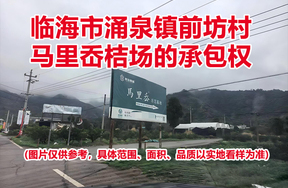 临海市涌泉镇前坊村马里岙桔场的承包权